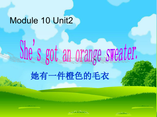 新外研版三年级英语下册Module 10 Unit 2 She's got an orange sweater课件2.ppt