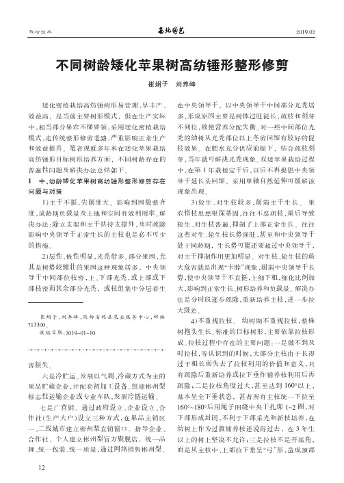 不同树龄矮化苹果树高纺锤形整形修剪
