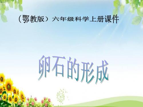 鄂教版小学科学六年级上册《卵石的形成》课件
