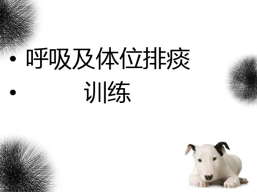 呼吸及体位排痰训练