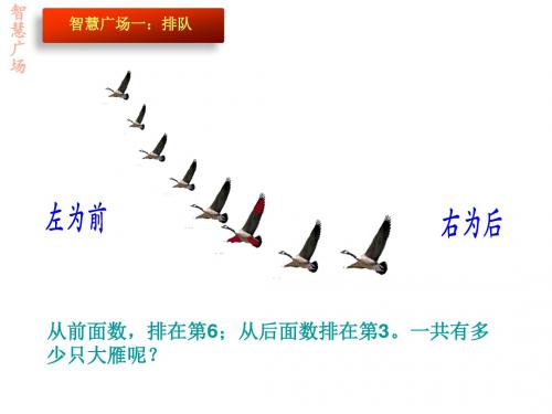 一年级数学上册《智慧广场》课件 青岛版