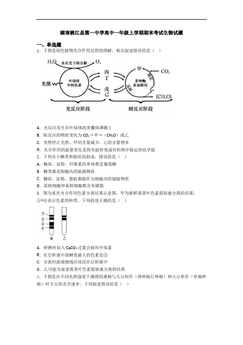 湖南桃江县第一中学高中一年级上学期期末考试生物试题