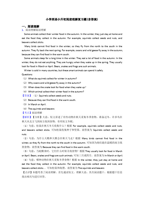 小学英语小升初阅读理解复习题(含答案)