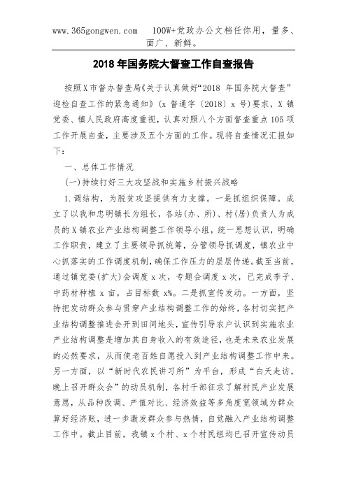 2018年国务院大督查工作自查报告