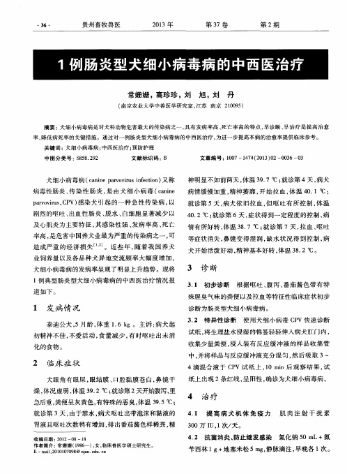 1例肠炎型犬细小病毒病的中西医治疗