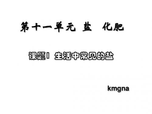 九年级化学生活中常见的盐3(1)