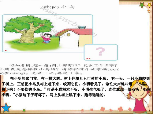 二年级语文看图写话汇总ppt课件