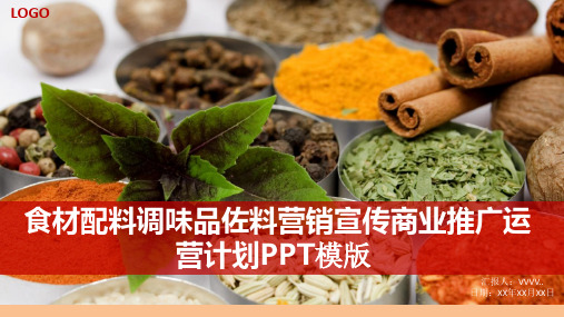 食材配料调味品佐料营销宣传商业推广运营计划PPT模版