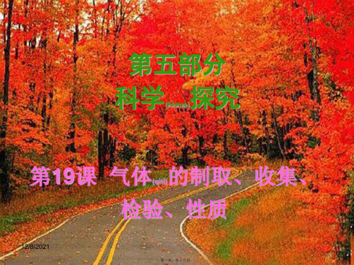 中考化学 第五部分《科学探究》第19课 气体的制取、收集、检验、性质复习课件