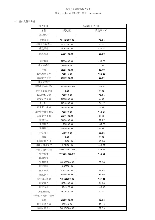 两面针公司财务报表分析