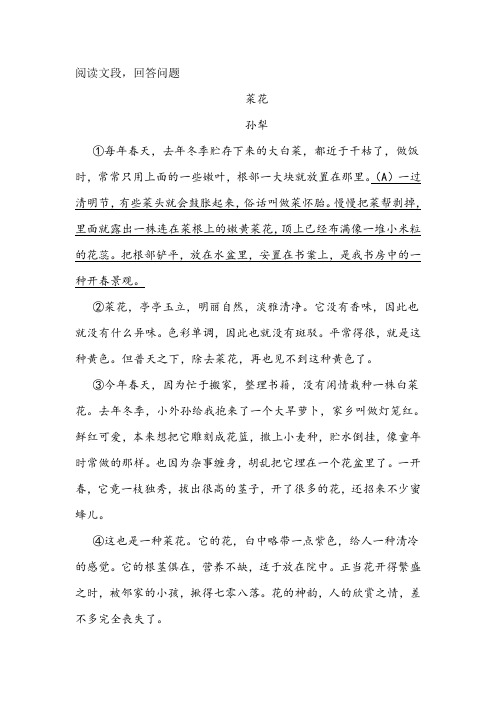 孙犁《菜花》阅读练习及答案