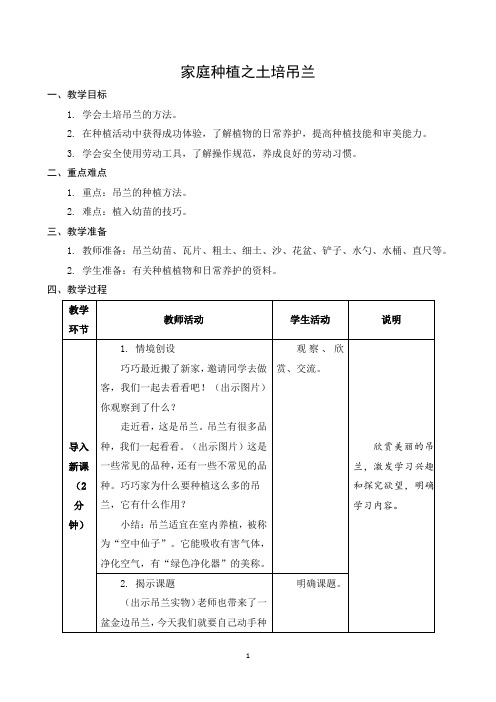 六年级下册综合实践(劳)01 家庭种植之土培吊兰