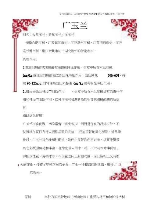广玉兰植物名片