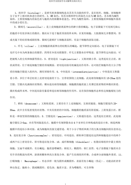 组织学及胚胎学名词解释及相应英文