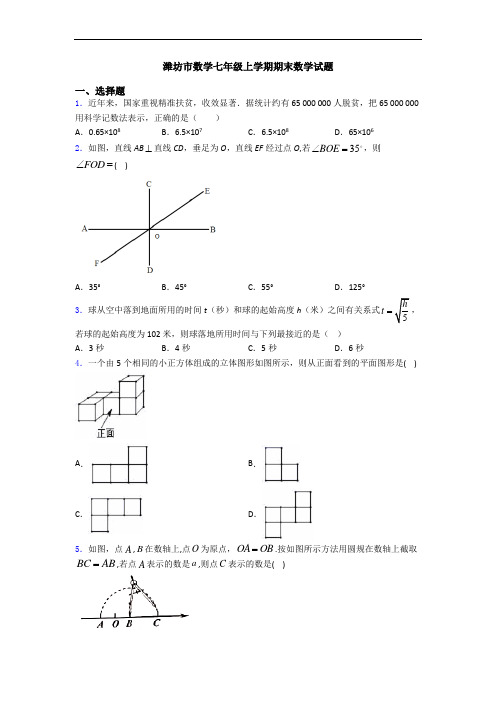 潍坊市数学七年级上学期期末数学试题