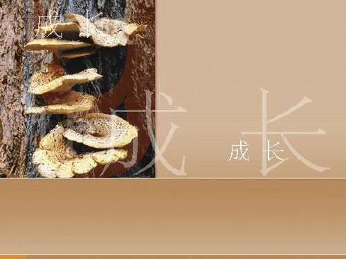 增资扩股说明书