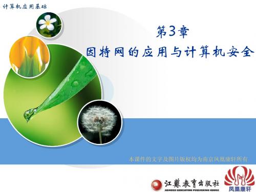 计算机应用基础 教学课件 第3章3.1 计算机网络概述