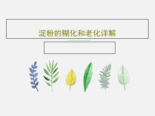 淀粉的糊化和老化详解30页PPT
