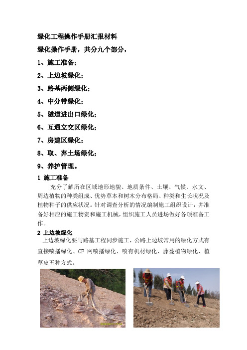 绿化工程操作手册