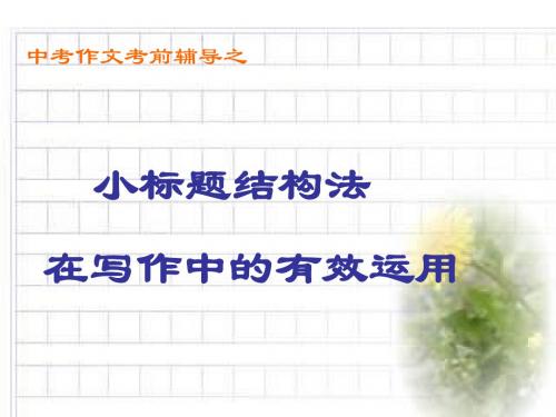 中考语文作文指导复习课件23