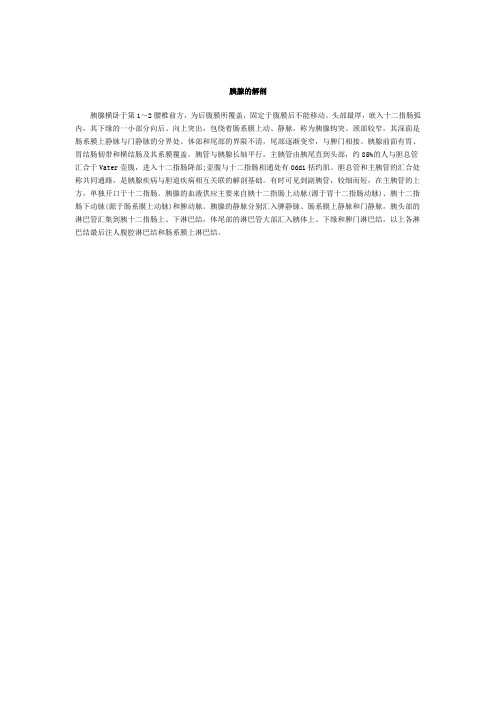 胰腺的解剖