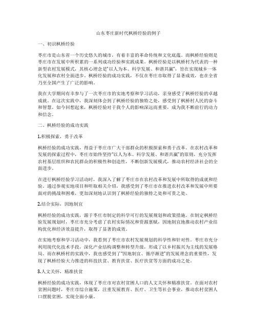 山东枣庄新时代枫桥经验的例子