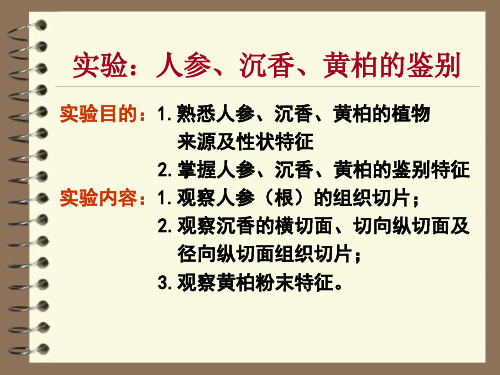 实验：人参、沉香、黄柏的鉴别