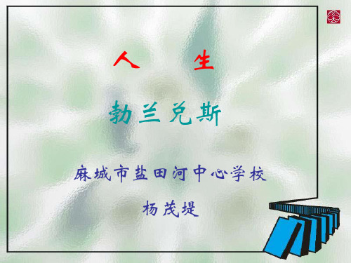 《人生》(勃兰兑斯)课件