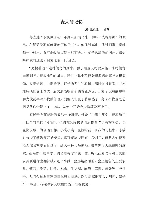 麦收的记忆1