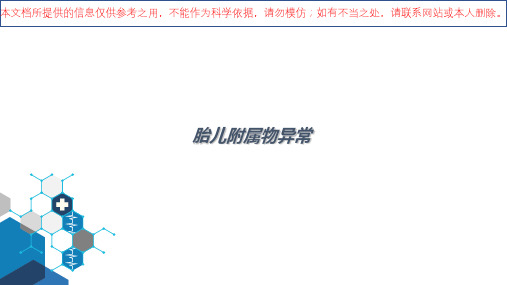 胎儿附属物异常培训课件
