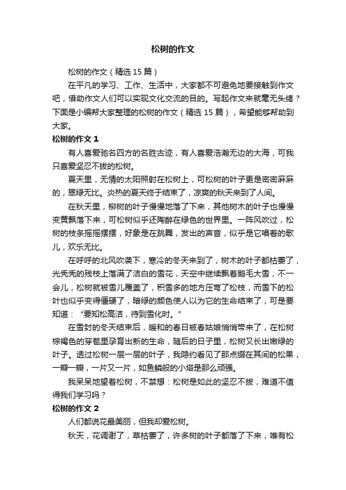 松树的作文（精选15篇）