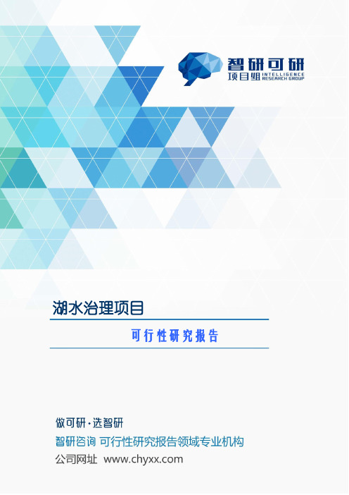 湖水治理项目可行性研究报告