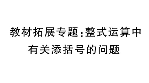 人教版数学七年级上册：教材拓展专题《整式运算中有关添括号的问题》练习课件(附答案)