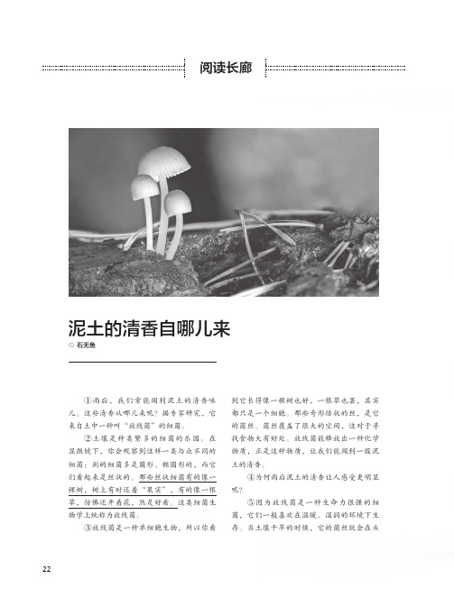 泥土的清香自哪儿来
