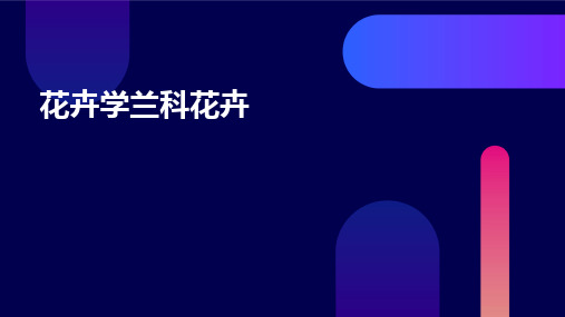 花卉学兰科花卉