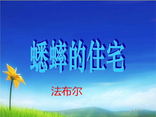 统编版四年级语文上册PPT课件第11课 蟋蟀的住宅 人教部编版 (共49张PPT)