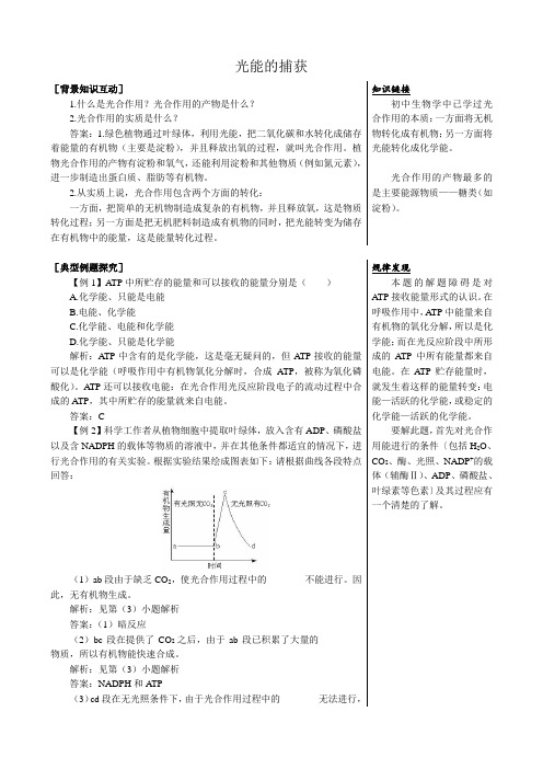 中图版高中生物必修1光能的捕获 备课资料