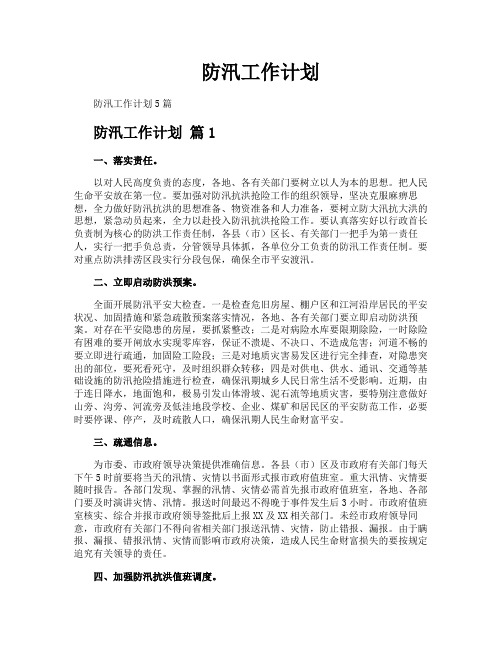 防汛工作计划