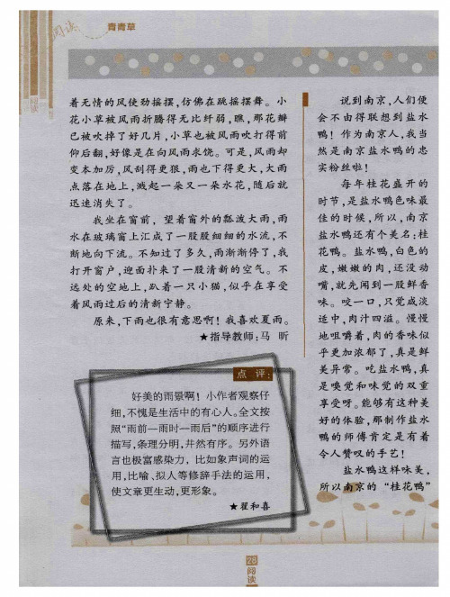 南京盐水鸭