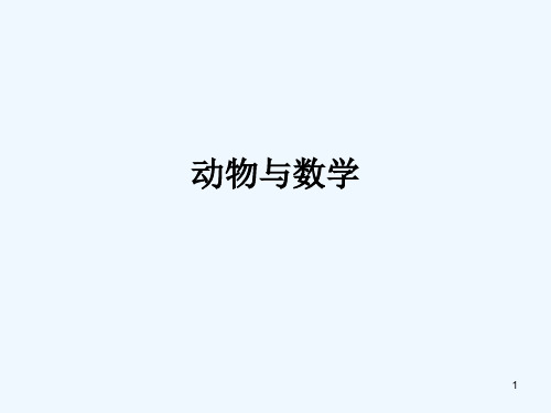 动物与数学 PPT