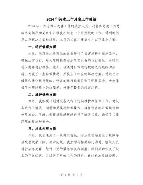 2024年污水工作月度工作总结