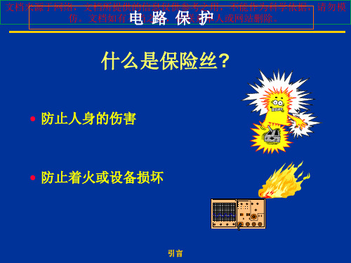 最新保险丝选型实例专业知识讲座