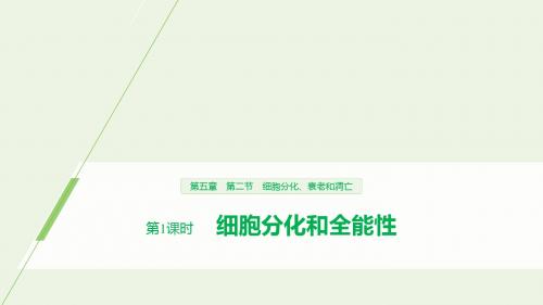 2019_2020版高中生物第5章细胞增殖、分化、衰老和凋亡第二节第1课时细胞分化和全能性课件苏教版必修1