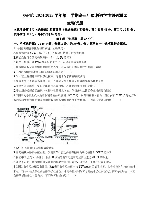 扬州市2024-2025学年高三上学期开学考试 生物试题含答案