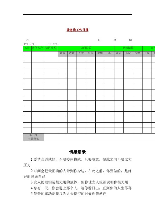 业务员工作日报(doc 2页).doc