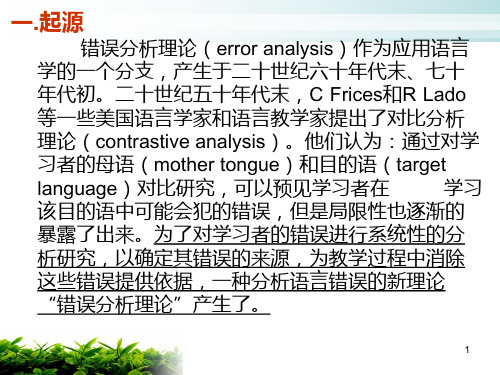 错误分析PPT课件