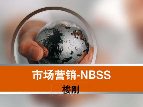 需求导向-NBSS(5)