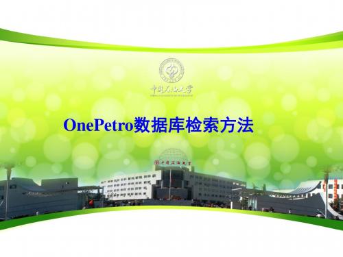 One- Petro数据库检索方法课件