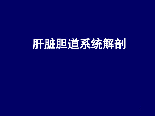 肝脏胆道系统解剖ppt课件