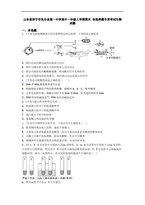 山东省济宁市鱼台县第一中学高中一年级上学期期末 非选择题专项考试生物试题